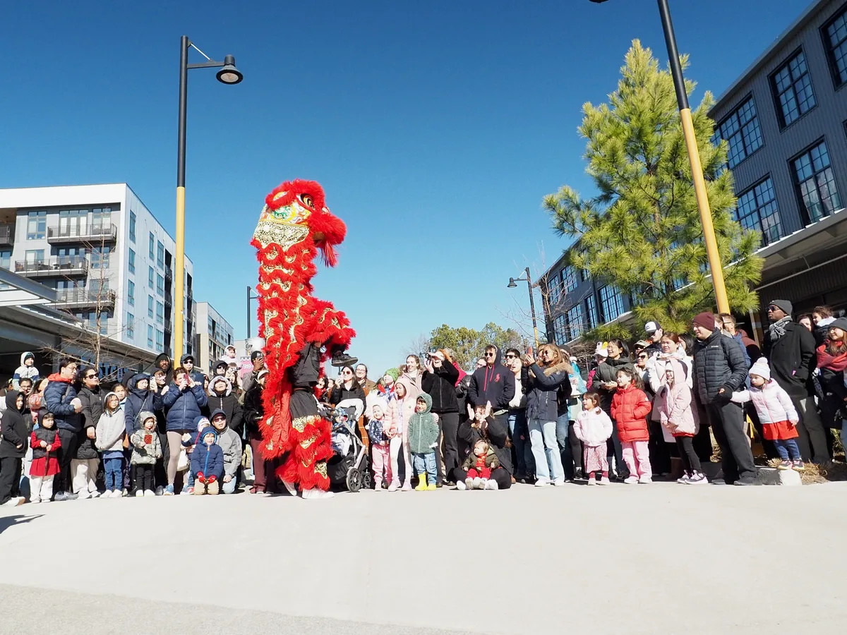 Lunar New Year photograph 11